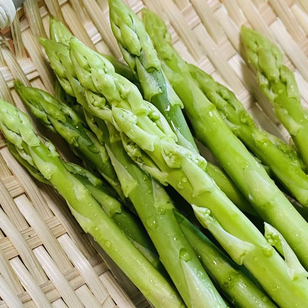 焼肉と食べたい3月に旬を迎える野菜とは？