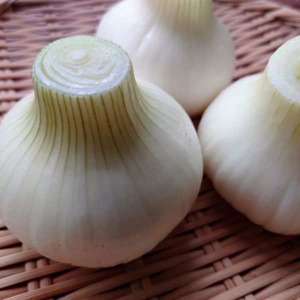 焼肉と食べたい4月に旬を迎える野菜とは？